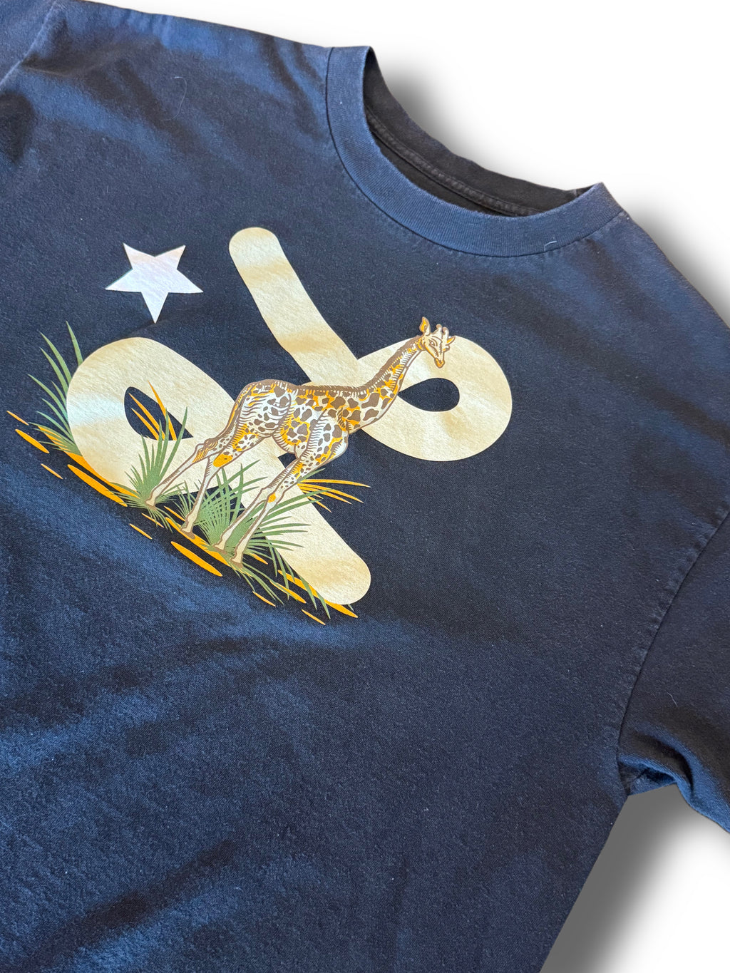 Y2K (LRG) T-shirt