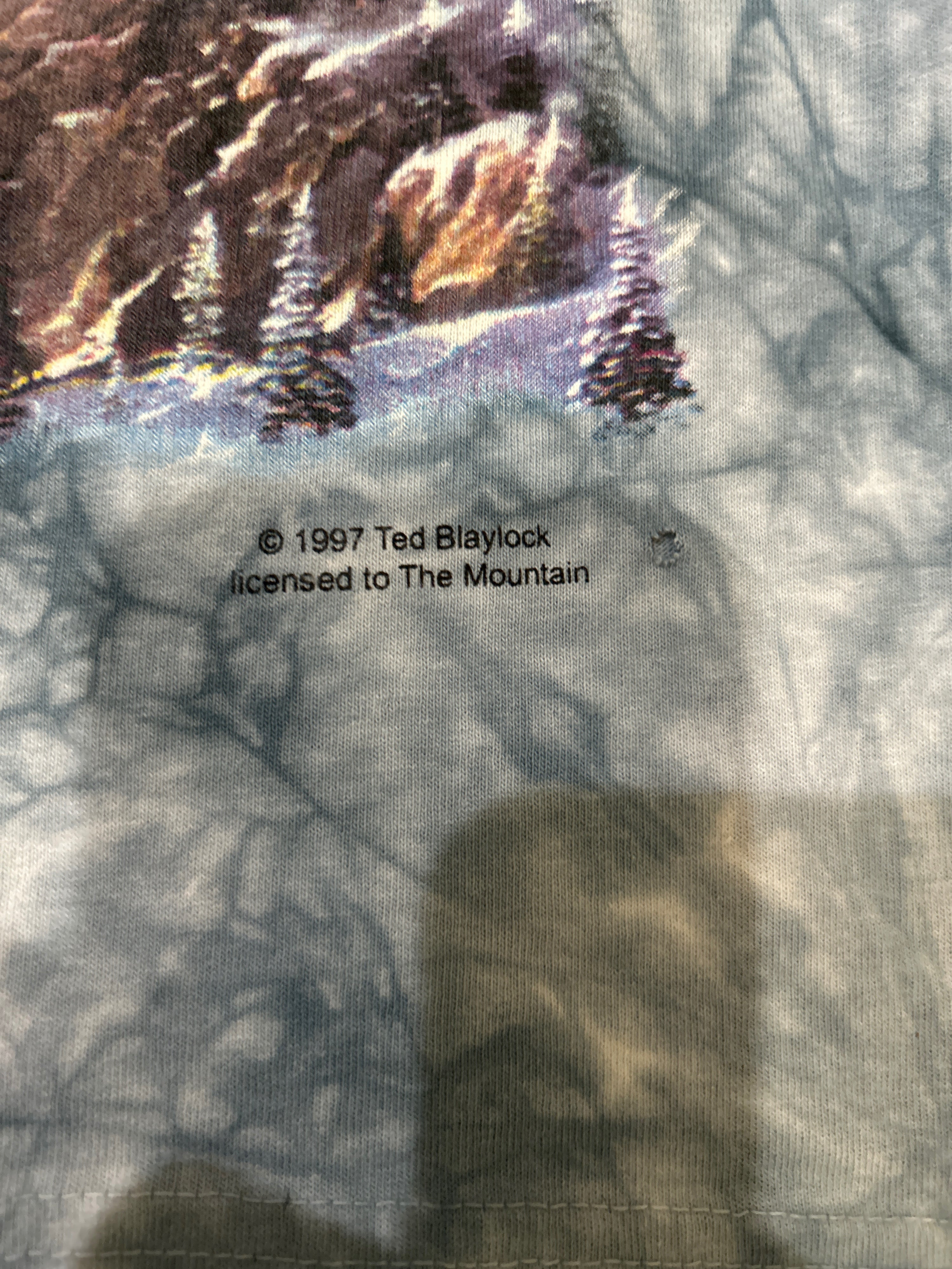 VTG hawk tee
